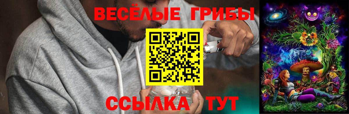 Галлюциногенные грибы GOLDEN TEACHER  Вход с VPN  Тамбов 