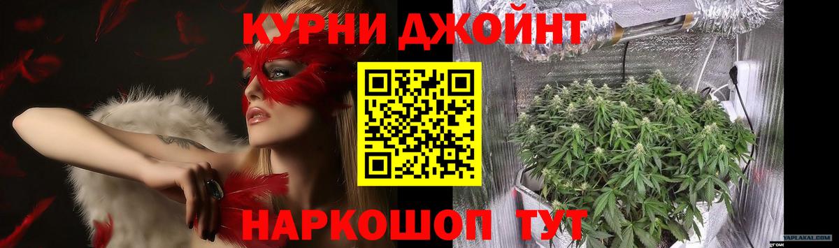 Тамбов  Конопля планчик  Вход с VPN  Конопля SATIVA & INDICA  Марихуана сатива  Шишки марихуана White Widow 